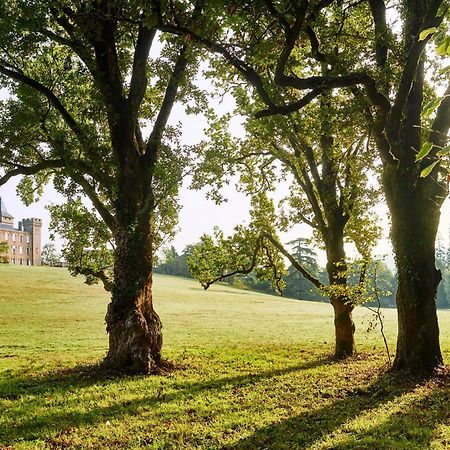 Chateau De Sibra Lagarde  ภายนอก รูปภาพ