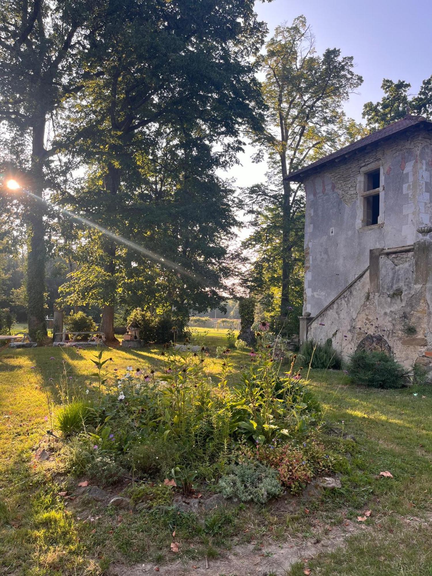 Chateau De Sibra Lagarde  ภายนอก รูปภาพ