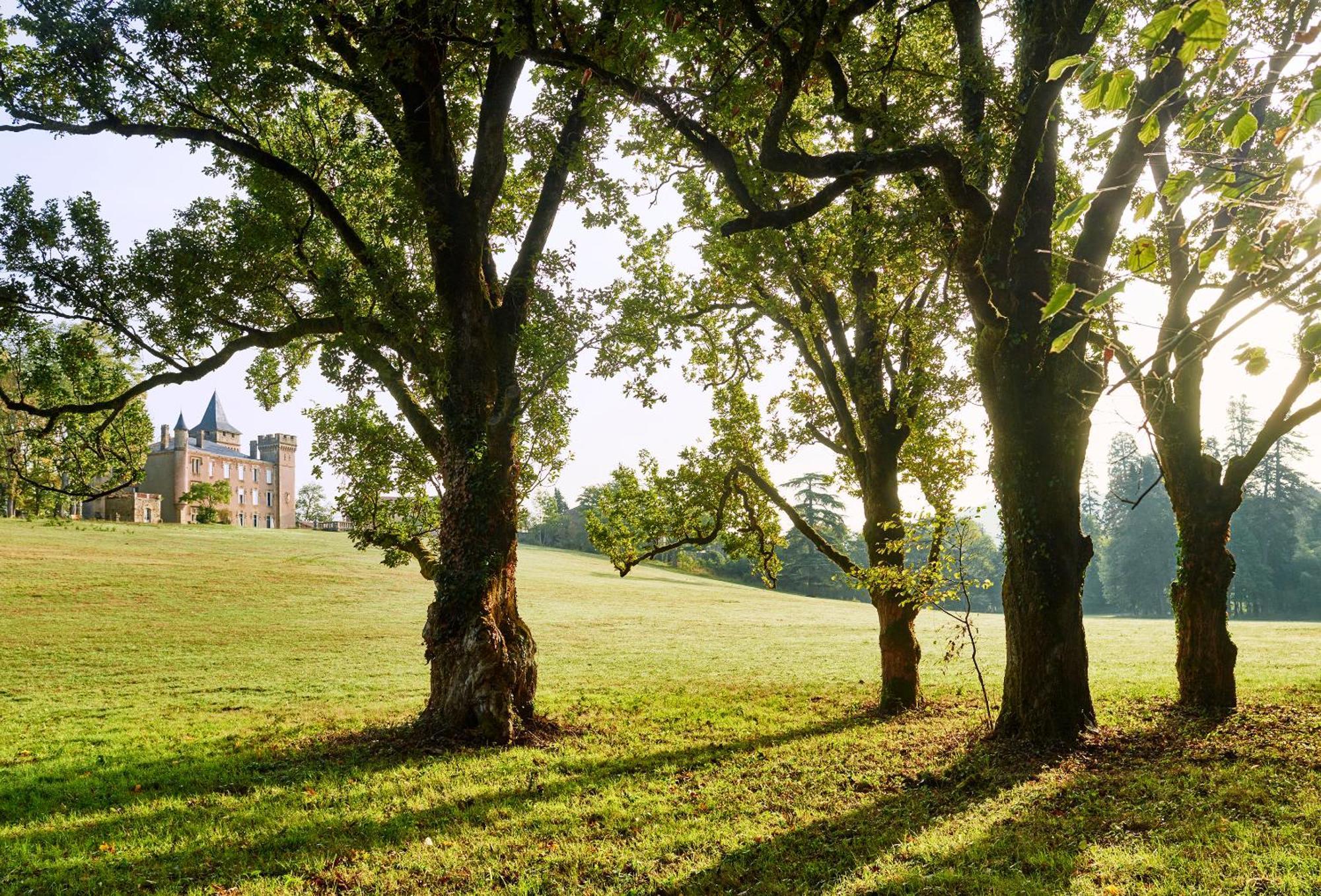 Chateau De Sibra Lagarde  ภายนอก รูปภาพ